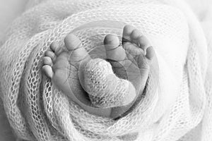 The tiny foot of a newborn baby. Soft feet of a new born in a wool blanket.