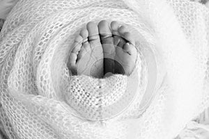 The tiny foot of a newborn baby. Soft feet of a new born in a wool blanket.