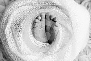 The tiny foot of a newborn baby. Soft feet of a new born in a wool blanket.