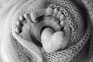 The tiny foot of a newborn baby. Soft feet of a new born in a wool blanket. Closeup of toes, heels and feet of a newborn