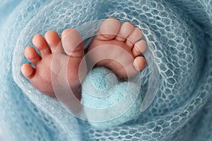 The tiny foot of a newborn baby. Soft feet of a new born in a wool blue blanket.