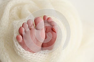 The tiny foot of a newborn baby. Soft feet of a new born in a wool white blanket