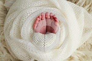 The tiny foot of a newborn baby. Soft feet of a new born in a wool white blanket