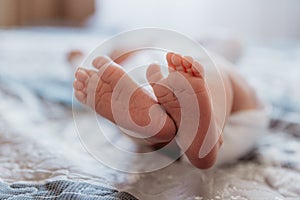 tiny foot of newborn baby in soft selective focus