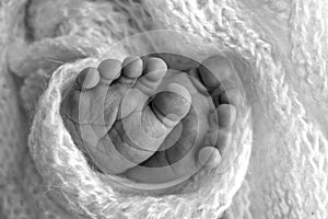 The tiny foot of a newborn. Soft feet of a newborn in a blanket. Close up of toes, heels and feet of a newborn baby.