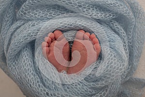 The tiny foot of a newborn Soft feet of a newborn in a blue blanket. Close up of toes, heels and feet of a newborn baby.