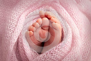 The tiny foot of a newborn. Soft feet of a newborn in a pink woolen blanket