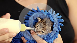 A tiny fussy rescue kitten refusing to suckle from the bottle