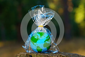 Tiny Globe in Transparent Plastic Wrap on Forest Stump