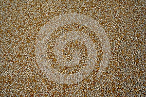 Tiny gravel texture on brown concrete wall. Texture background seamless gravel floor. Soft focus