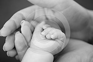 Tiny hand of newborn baby