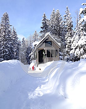 Tiny House in the Winter