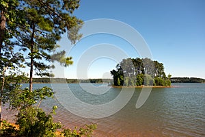 A tiny island as seen on a sunny day at a reservoir in georgia