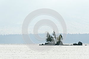 Tiny island on hazy Moosehead Lake