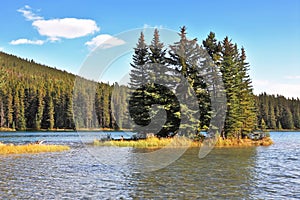 A tiny island in a shallow lake