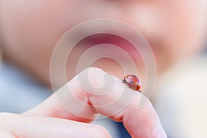 Tiny ladybug on child finger