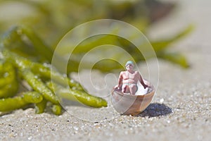 Tiny Man in Boat Shell Dreaming of Vacation