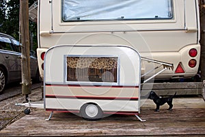 Tiny Model Caravan For A Dog.