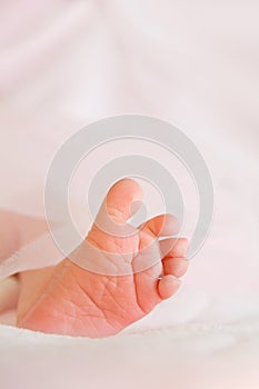 Tiny Newborn Baby Foot