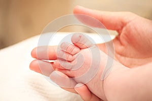 Tiny newborn baby foot in female hands.