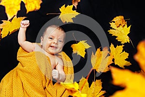 Tiny newborn baby lay in autumn maple leaves