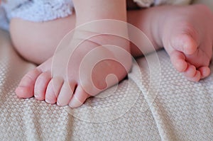Tiny Newborn Baby& x27;s feet
