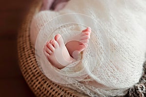 Tiny Newborn Baby`s feet