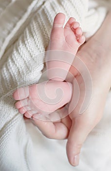 Tiny Newborn Baby`s feet on female Shaped hands closeup