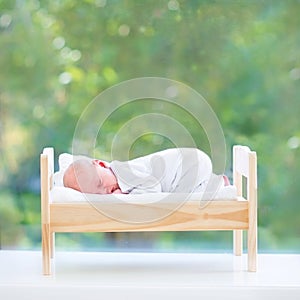 Tiny newborn baby in toy bed next to big window