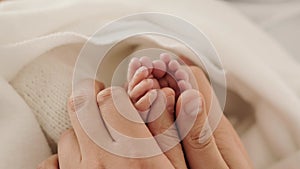 Tiny newborn feet in mother hands
