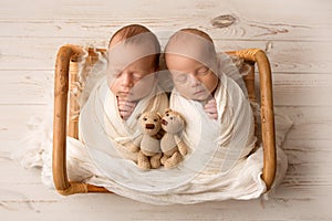 Tiny newborn twin boys in white cocoons in a wooden basket with bear toys.