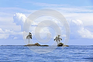 Tiny Palm Tree Islets photo