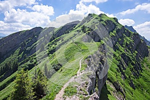 Tiny person hiking along footpath at a cliff with summer meadow in the mountain of Nagelfluhkette, Allgäu Oberstaufen Germany