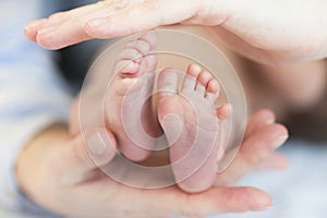 The tiny pink feet of newborn baby in mother`s hands