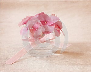 Tiny Pink Hydrangea Blossom Still Life