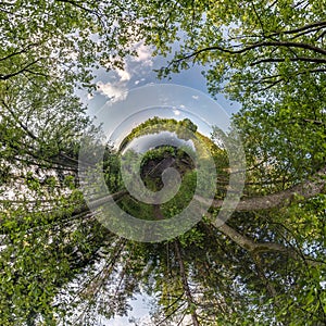 Tiny planet transformation of spherical panorama 360 degrees. Spherical abstract aerial view in forest near lake. Curvature of