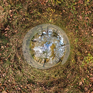 tiny planet transformation of spherical panorama 360 degrees. Spherical abstract aerial view in oak grove with clumsy branches in