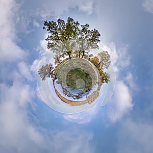 Tiny planet transformation of spherical panorama 360 degrees. Spherical abstract aerial view in oak grove with clumsy branches in