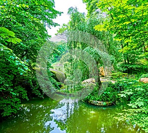 The tiny pond among greenery in Valley of the Giants of Sofiyivka Park, Uman, Ukraine