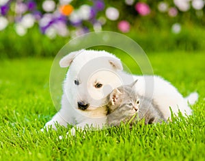 Tiny puppy and kitten lying on green grass