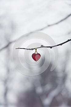 Tiny red heart hanging from tree branch