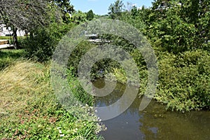 tiny river with many plants almost hidin the main raod bridge