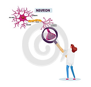 Tiny Scientist Female Character Wearing White Medical Robe Learning Human Neurons Scheme in Scientific Laboratory