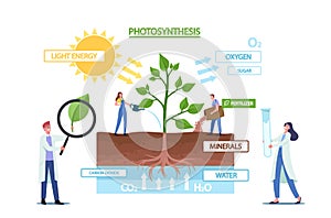 Tiny Scientists at Photosynthesis Infographics Presenting Changes Sunlight Into Chemical Energy, Splits Water to Oxygen