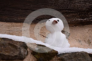 Tiny snowman at Rupea citadel fortress in Rupea Romania