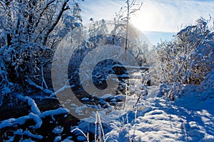 Tiny stream flowing along snowy woods on sunny day