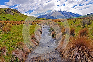 Tiny stream through a mountain meadow