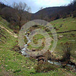 A tiny stream in nature