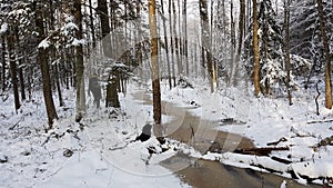 Tiny stream in winter forest