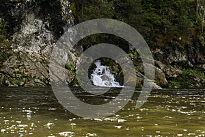 Tiny vegetation in a cave